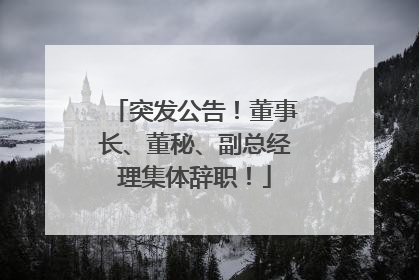 突发公告！董事长、董秘、副总经理集体辞职！