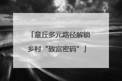 章丘多元路径解锁乡村“致富密码”