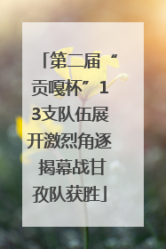 第二届“贡嘎杯”13支队伍展开激烈角逐 揭幕战甘孜队获胜