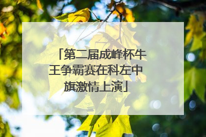 第二届成峰杯牛王争霸赛在科左中旗激情上演