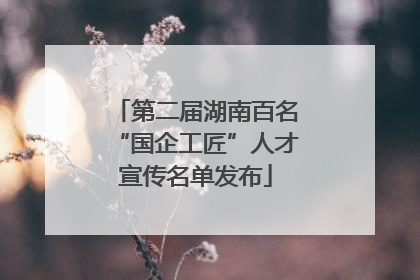 第二届湖南百名“国企工匠”人才宣传名单发布