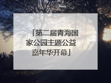 第二届青海国家公园主题公益嘉年华开幕