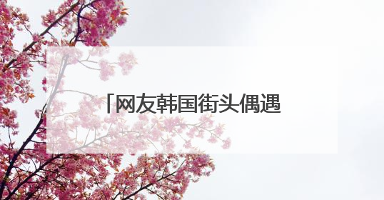 网友韩国街头偶遇王勉和美女逛街引发恋情猜测，登上热搜！陈赫评论区贴脸开大：你和谁逛街？我也想知道