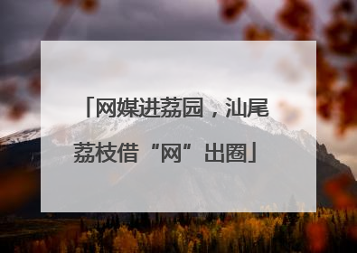 网媒进荔园，汕尾荔枝借“网”出圈