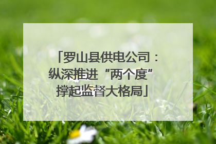 罗山县供电公司：纵深推进“两个度” 撑起监督大格局