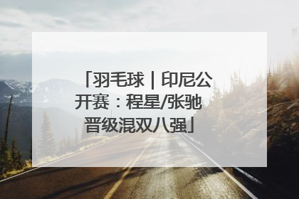 羽毛球｜印尼公开赛：程星/张驰晋级混双八强