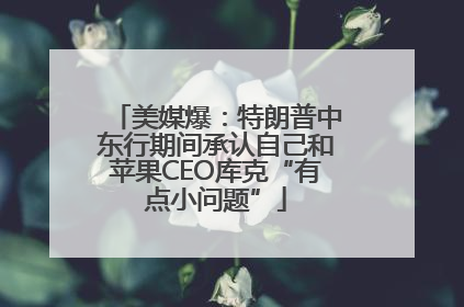 美媒爆：特朗普中东行期间承认自己和苹果CEO库克“有点小问题”