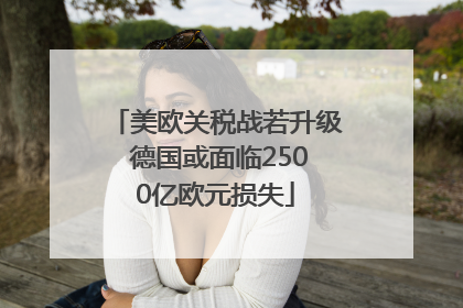 美欧关税战若升级 德国或面临2500亿欧元损失