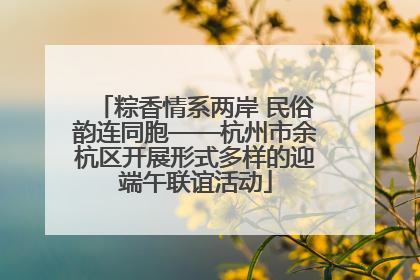 粽香情系两岸 民俗韵连同胞——杭州市余杭区开展形式多样的迎端午联谊活动