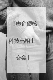 粤企硬核科技亮相上交会