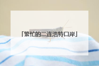 繁忙的二连浩特口岸