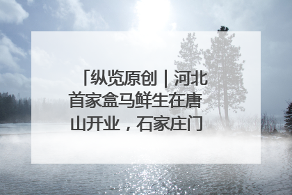 纵览原创｜河北首家盒马鲜生在唐山开业，石家庄门店预计8月开业