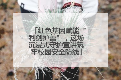红色基因赋能“利剑护蕾”，这场沉浸式守护宣讲筑牢校园安全防线
