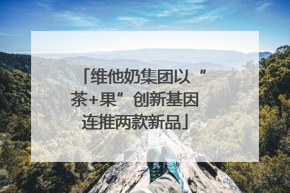 维他奶集团以“茶+果”创新基因连推两款新品