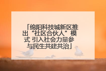 绵阳科技城新区推出“社区合伙人”模式 引入社会力量参与民生共建共治