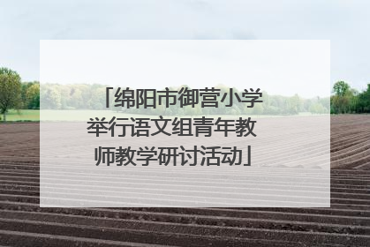 绵阳市御营小学举行语文组青年教师教学研讨活动