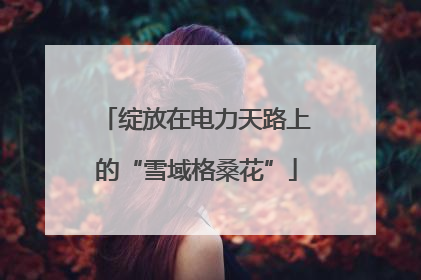 绽放在电力天路上的“雪域格桑花”