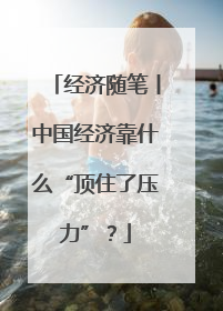 经济随笔丨中国经济靠什么“顶住了压力”？