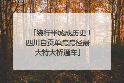 绕行半城成历史！四川自贡单跨跨径最大特大桥通车
