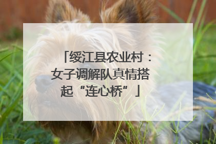 绥江县农业村：女子调解队真情搭起“连心桥”