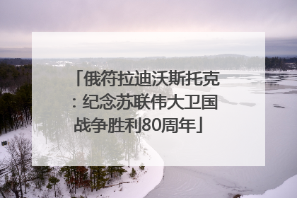 俄符拉迪沃斯托克：纪念苏联伟大卫国战争胜利80周年