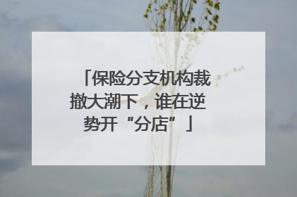 保险分支机构裁撤大潮下，谁在逆势开“分店”