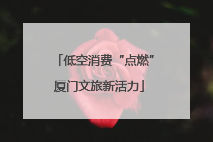 低空消费“点燃”厦门文旅新活力