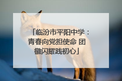 临汾市平阳中学：青春向党担使命 团徽闪耀践初心