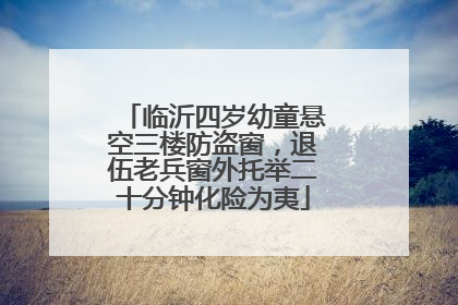 临沂四岁幼童悬空三楼防盗窗，退伍老兵窗外托举二十分钟化险为夷