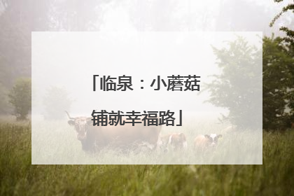 临泉：小蘑菇铺就幸福路