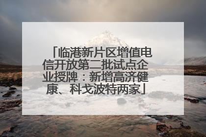 临港新片区增值电信开放第二批试点企业授牌：新增高济健康、科戈波特两家