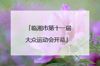临湘市第十一届大众运动会开幕