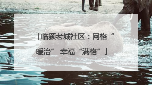 临颍老城社区：网格“暖治” 幸福“满格”