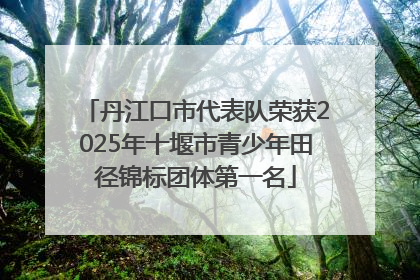 丹江口市代表队荣获2025年十堰市青少年田径锦标团体第一名
