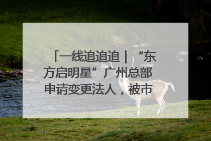 一线追追追｜“东方启明星”广州总部申请变更法人，被市场监管部门限制