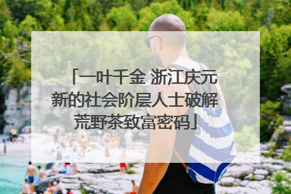 一叶千金 浙江庆元新的社会阶层人士破解荒野茶致富密码