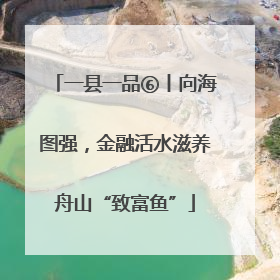 一县一品⑥丨向海图强，金融活水滋养舟山“致富鱼”