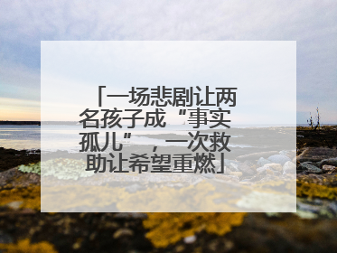 一场悲剧让两名孩子成“事实孤儿”，一次救助让希望重燃