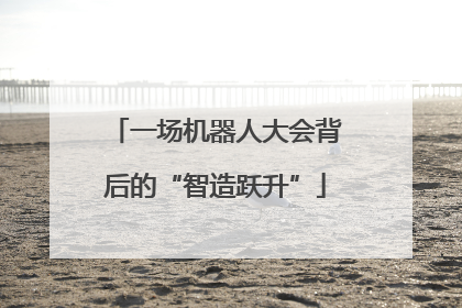 一场机器人大会背后的“智造跃升”