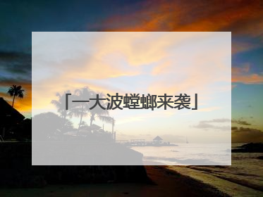 一大波螳螂来袭