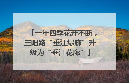 一年四季花开不断，三阳路“垂江绿廊”升级为“垂江花廊”