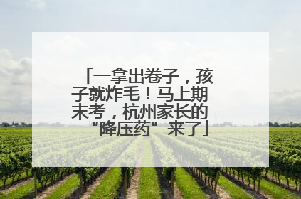 一拿出卷子，孩子就炸毛！马上期末考，杭州家长的“降压药”来了