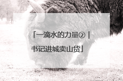 一滴水的力量②｜书记进城卖山货