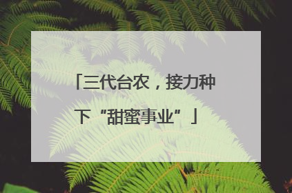三代台农，接力种下“甜蜜事业”