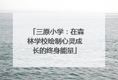 三原小学：在森林学校绘制心灵成长的终身能量