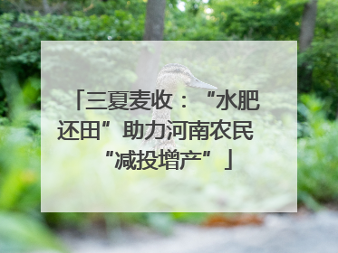 三夏麦收：“水肥还田”助力河南农民“减投增产”