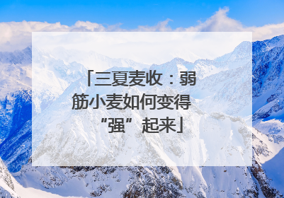 三夏麦收：弱筋小麦如何变得“强”起来