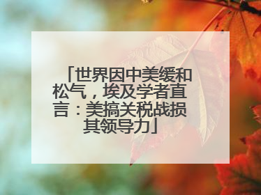 世界因中美缓和松气，埃及学者直言：美搞关税战损其领导力