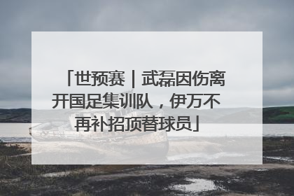 世预赛｜武磊因伤离开国足集训队，伊万不再补招顶替球员