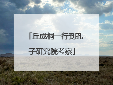 丘成桐一行到孔子研究院考察